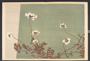 Shasei sôka môyô, Muster von Pflanzen und Blumen aus dem Leben von Furuya Korin