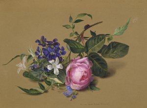 Käfer am Rosenast von Fyodor Petrovich Tolstoy