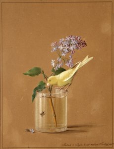 Kanarienvogel auf einem Fliederzweig, 1819