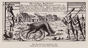 Der Wolf von Ansbach von G.J. Schneider