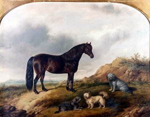 Ein Pony und drei Terrier in einer Landschaft von G. Jackson