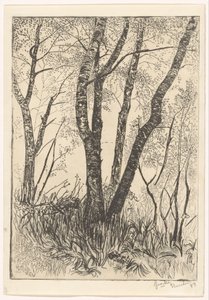 Bäume im hohen Gras von G. van der Mey (signed by artist)