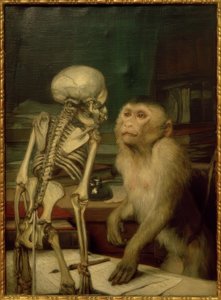 Affe vor Skelett von Gabriel Cornelius Ritter von Max