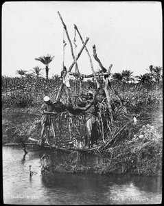 Ein Schaduf am Nil, Ägypten, um 1890