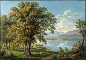 Blick von der St. Petersinsel auf den Bielersee