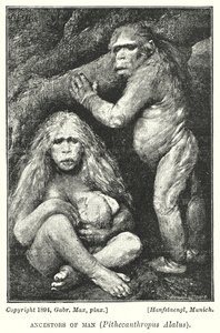 Vorfahren des Menschen, Pithecanthropus Alalus von Gabriel Max