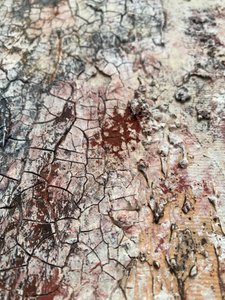 Rissige Erdige Textur