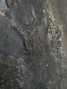 Tief gebrochene Textur