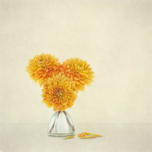 Goldene Herbst-Dahlien von Gaille Gray
