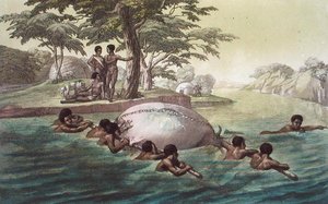 Gingri-Stammesangehörige überqueren den Fluss Zebee, Tafel 67 aus 