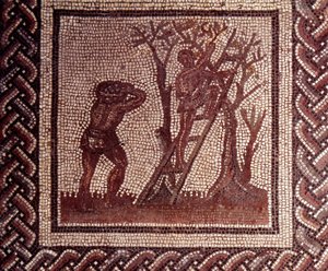 Gallorömische Kunst: Mosaikpflaster, das einen rustikalen Kalender darstellt. Olivenernteszene. Ende 2., Anfang 3. Jahrhundert n. Chr. Aus Saint-Romain-en-Gal (Rhône). Saint-Germain-en-Laye, Nationalmuseum für Archäologie