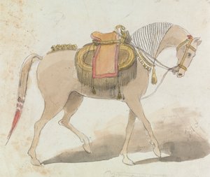 Aufwendig gesatteltes Pferd