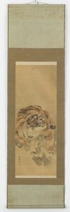 Ein kauernder, knurrender Tiger