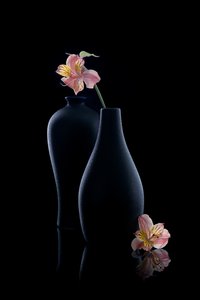 Elegante Alstroemeria-Vasen