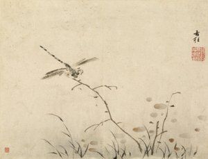 Libelle von Gao Qipei