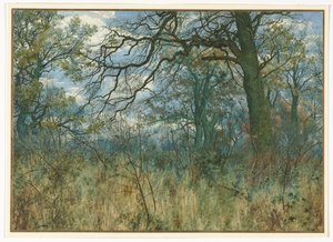 Bäume und Unterholz von Garden William Fraser