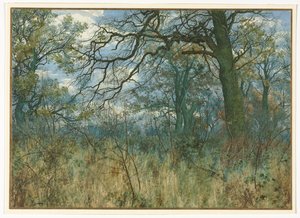 Bäume und Unterholz von Garden William Fraser