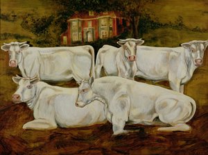 Charolais-Bullen, Dippenhall, Farnham