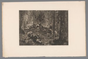 Waldlandschaft