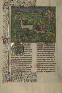 Buch der Jagd