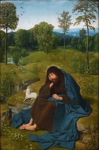 Johannes der Täufer in der Wildnis