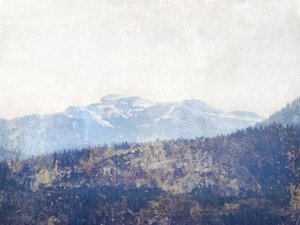 Nebliger Bergwald