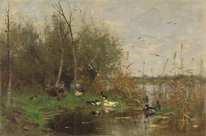 Enten neben einem Entenhaus an einem Graben