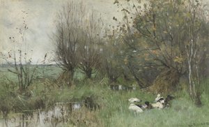 Enten bei einem Weidenwäldchen von Geo Poggenbeek