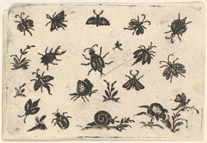 Kleine Motive von Insekten und Pflanzen von Georg Herman