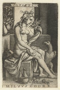 Geruch (Olfactus) (Serie: Vijf Zintuigen) von Georg Pencz