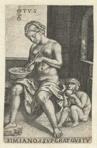Geschmack (Gustus)