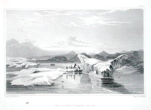 Der von Eis gequetschte Delphin, aus 