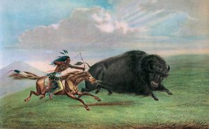Druck nach Buffalo Hunt