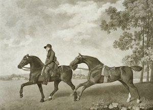 Zwei Hacks, graviert von George Townley Stubbs von George (after) Stubbs