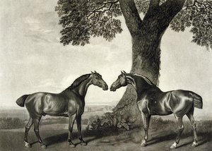 Zwei Jäger, graviert von G.T. Stubbs von George (after) Stubbs