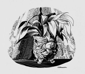 Aspidistra in einer Schale von George Adamson