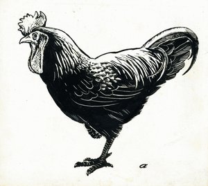 Das Huhn von George Adamson