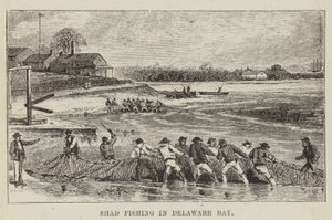 Shad-Fischerei in der Delaware Bay von George Augustus Sala
