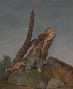 Studie von Felsen und Ästen von George Augustus Wallis