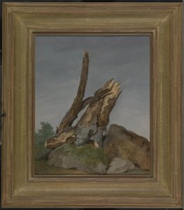 Studie von Felsen und Ästen, ca. 1795 von George Augustus Wallis