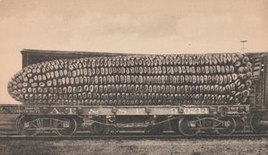 Eine Wagenladung Texas-Mais, ca. 1910