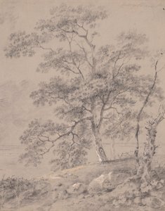 Baumstudie von George Barret