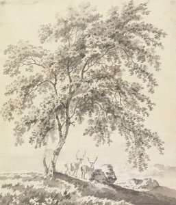 Baumstudie mit Hirschen (Landschaft) von George Barret