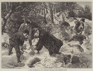 Ein Tag beim Frettchenjagen in den Weihnachtsferien von George Bouverie Goddard
