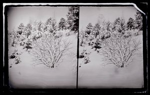 Prospect Park, Brooklyn, ca. 1872-87 von George Bradford Brainerd