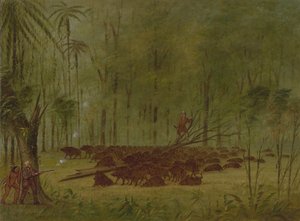Ein Kampf mit Pekaris - Karibik, 1854-1869 von George Catlin