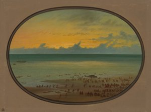 Ein gestrandeter Wal - Klahoquat von George Catlin