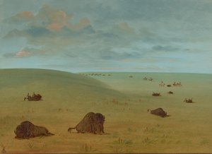 Nach der Büffeljagd - Sioux, 1861-1869