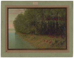 Ein Amazonaswald - Blick an Land von George Catlin