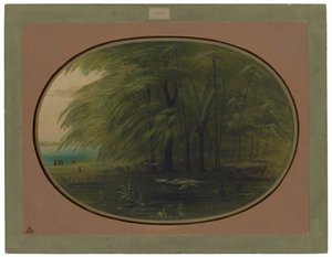 Ein indisches Dorf - Ufer des Amazonas von George Catlin